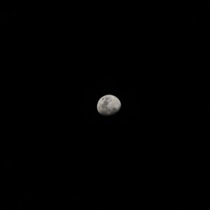lunar-recall